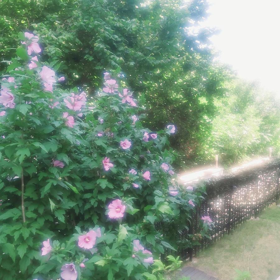 Saint Nicholas Varna Lovely 2 Bedroom Apartment With Sunny Garden Екстер'єр фото